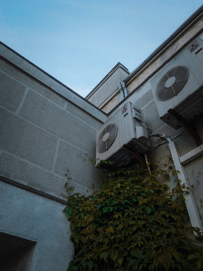 gallery-2 Air conditioners mounted on an ivy-covered building wall in Minsk.